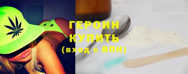 дурь Няндома