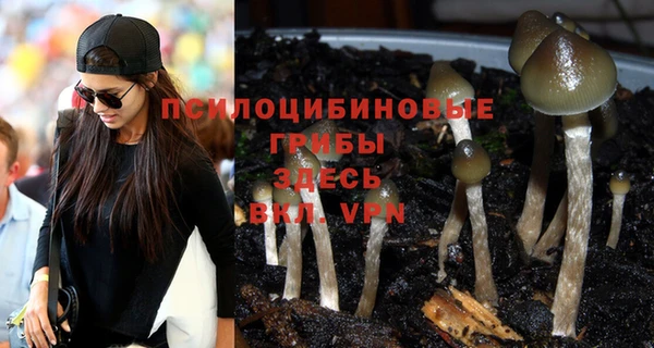 дурь Няндома
