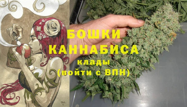 каннабис Новозыбков